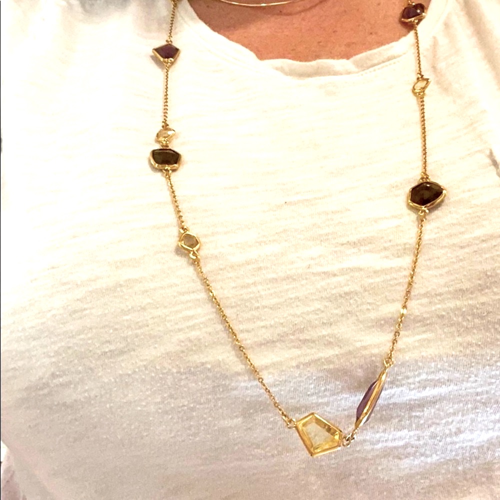 Stella $ Dot Long Necklace With Stones